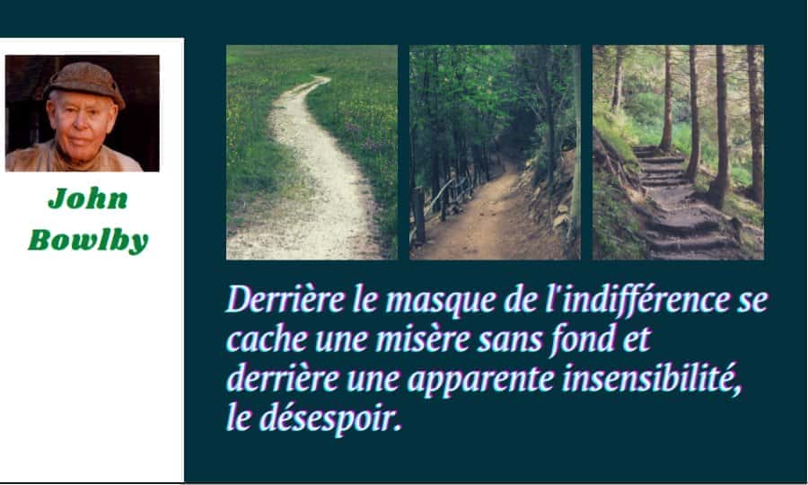 bowlby citation indifference